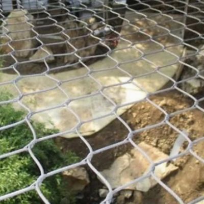 Stainless Steel Zoo Aviary Netting Ferrule Flexible  Wire Rope Mesh