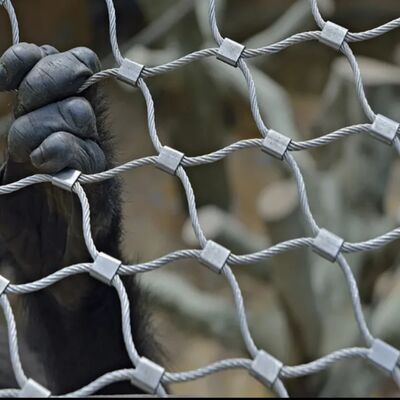 Stairway Falling Curing Stainless Steel Wire Cable Rope  Net For Handrail