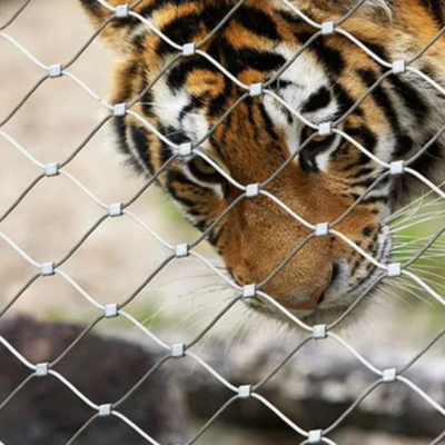 Flexible Stainless Steel Wire Ferrule X Tend Cable Mesh  Net for Zoo Bird Aviary Net