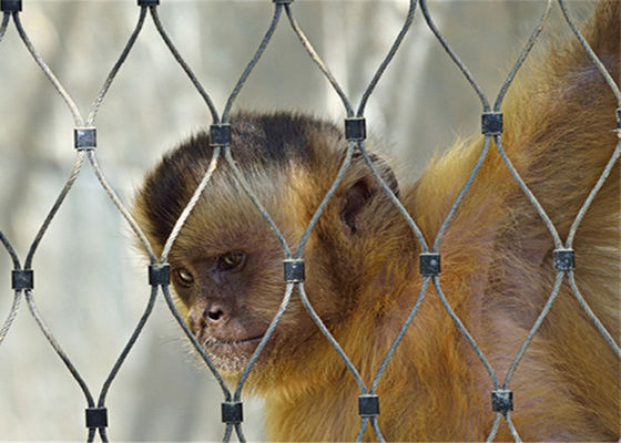 Zoo Safety Wire Net Stainless Steel Rope Net  Mesh Flexible Metal Bird Net