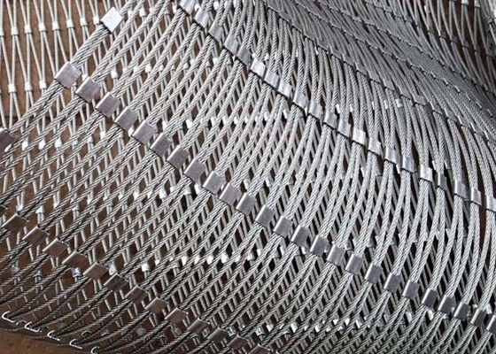 il cavo gli ss X di 2.0Mm tende il cavo Mesh With Ferrule Non Rusting per protettivo