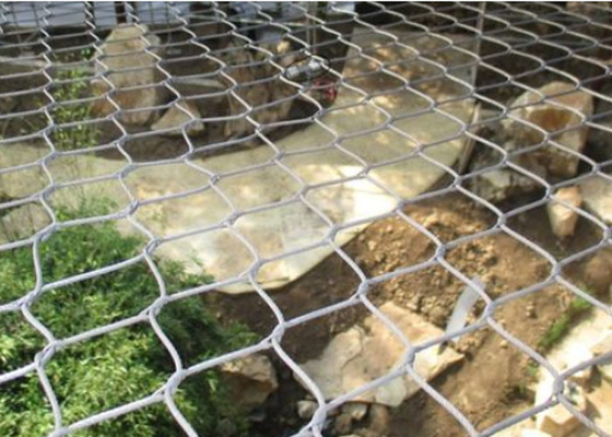 L'alta durevolezza SUS316 ha accluso il cavo Mesh Animal Wire Mesh dello zoo