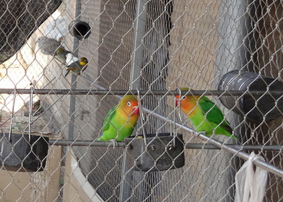 Griglia di aviario leggera di filo d'argento con apertura di 30 mm x 30 mm