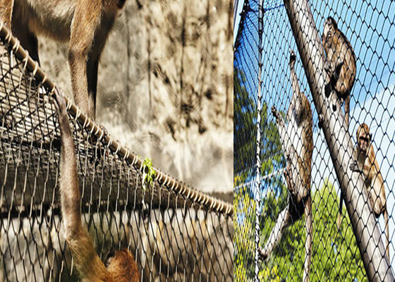 In acciaio inossidabile per zoo, per aviarie, per animali di allevamento