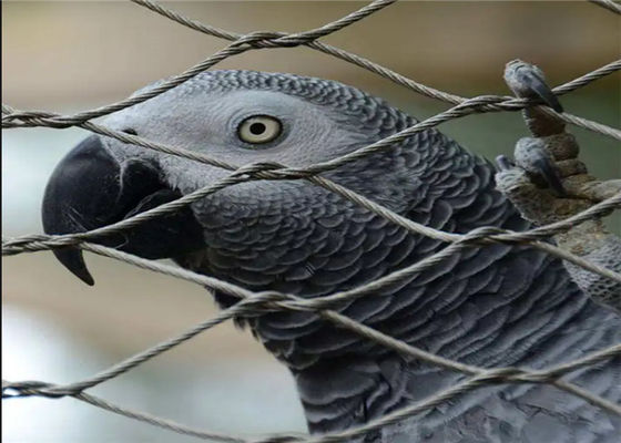 Rete metallica per zoo con superficie lucida, maglia a diamante a 60 gradi e fune in acciaio inossidabile