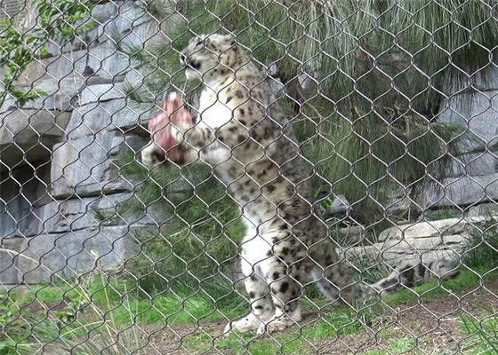 X-Tend durevole rete di cavi in acciaio inossidabile per la struttura di rete di recinzione zoo 7 * 7