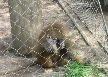 Rete animale zoologica ad alta resistenza della corda annodata 3.0mm della maglia di recinzione