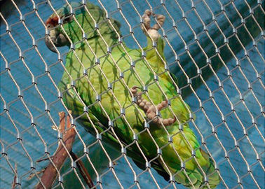 Reticolato inanellato della rete metallica dell'uccelliera dell'uccello dell'acciaio inossidabile