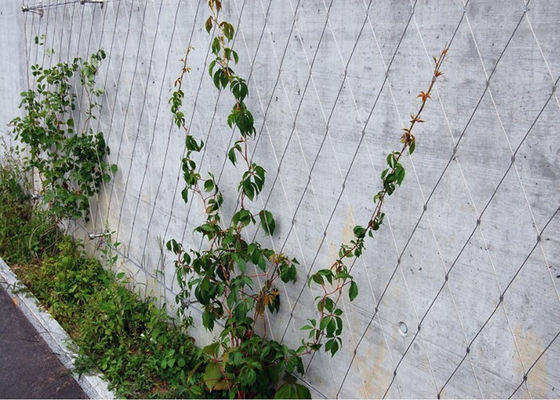 Il traliccio amichevole eco- della parete del cavo del giardino inanellato/ha annodato la maglia corrosiva anti-