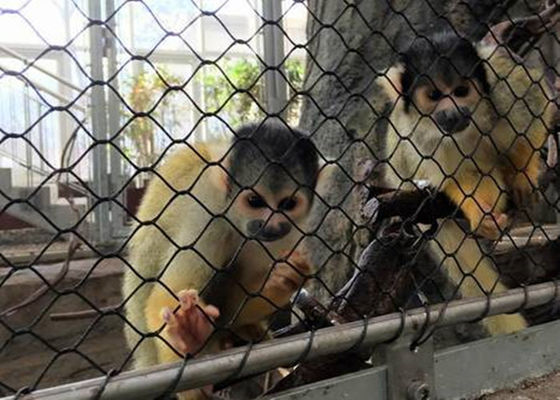 Tipo tessuto diamante flessibile nero del reticolato della maglia della corda dell'uccelliera dell'ossido ss