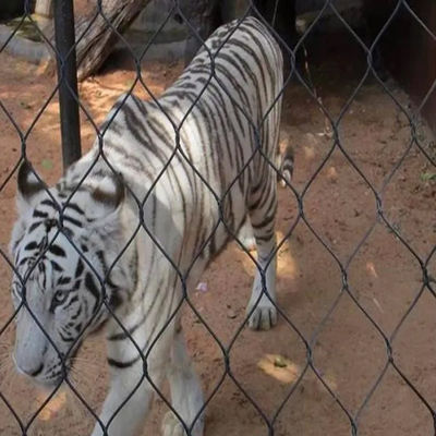 Acciaio inossidabile flessibile a filo di protezione zoologica, a maglia ferrata o annodata