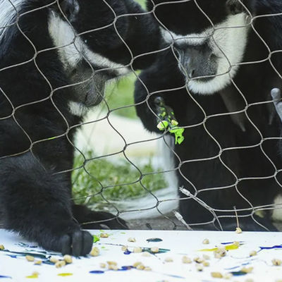 3mm rete di filo di corda per zoo gabbie protettive giardino sicurezza recinzione esterna