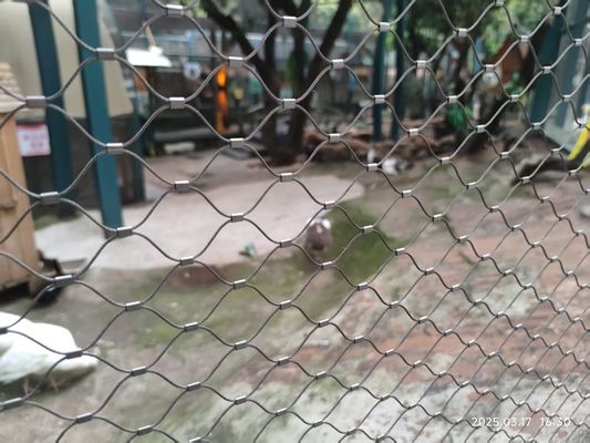 Twill Weave 2mm Aviary Wire Netting Stainless Steel Wire Rope Bird Netting Fence Zoo