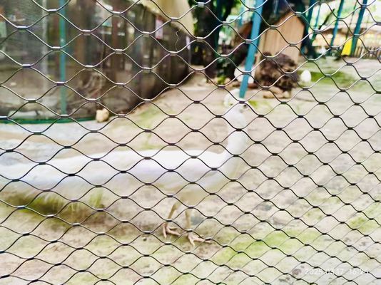 Rope Zoo Fencing Netting In acciaio inossidabile Rope Bird Aviary Netting