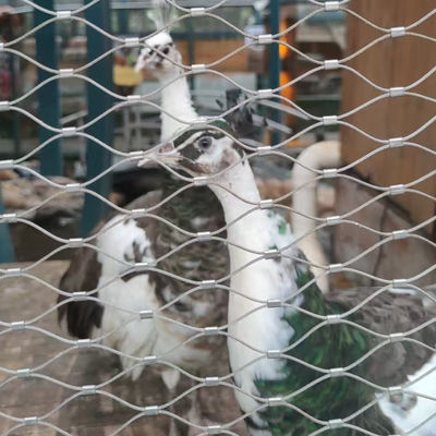 Griglia di filo per aviari Flessibile Griglia di filo per cavi per recinto zoologico