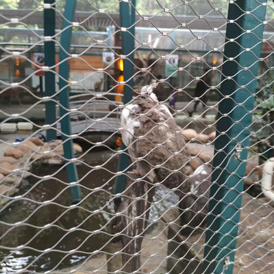 SS304 SS316 Griglia di filo di acciaio inossidabile Griglia di cavi di sicurezza zoo