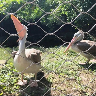 Griglia in acciaio inossidabile per reti aviarie per animali zoologici