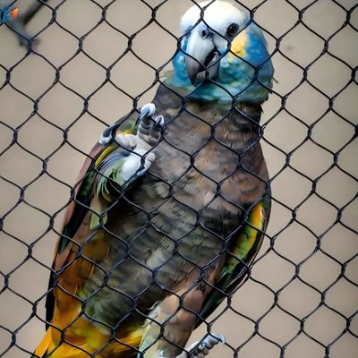 SS 304 316 Griglia di recinzione zoologica Griglia di filo di cavo flessibile per aviario