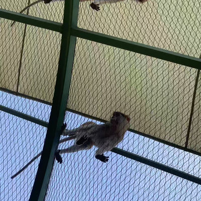 In acciaio inossidabile rete di filo tessuto rete di corda rete di uccelli zoo aviario recinto di protezione del pendio
