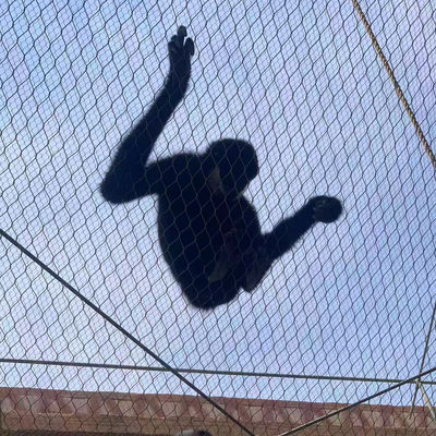 Stainless Steel Wire Rope Zoo Fencing Mesh Flexible Cable Netting per aviary uccello