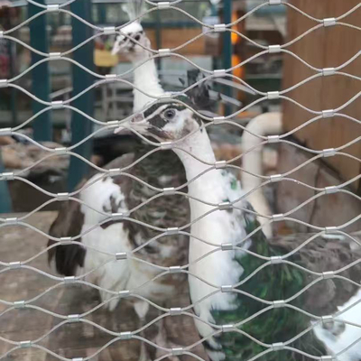 316 Griglia di rete flessibile in acciaio inossidabile per aviarie