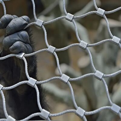 Forte rete di cavi in acciaio inossidabile progettata per le barriere di sicurezza