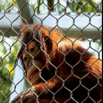 Rete protettiva resistente alla corrosione, adatta a progetti di sicurezza