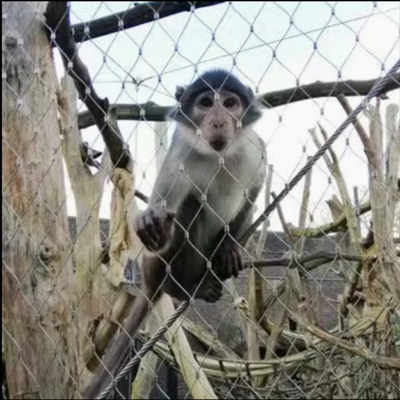 316 Flexible Stainless Steel X Tend Cable Mesh For Zoo Enclosure Safety Fence