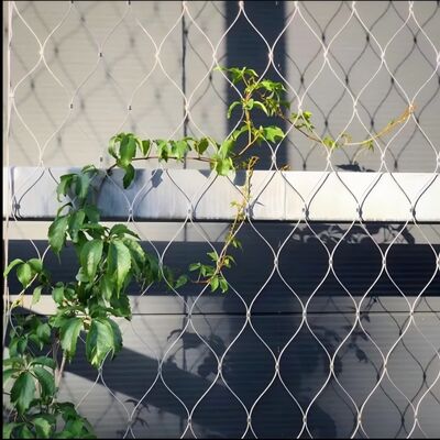 Tipo di ghiera Rete in fune di acciaio inossidabile per piante verdi rampicanti