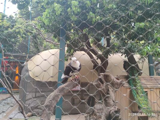 316 Rete di sicurezza per cavi in acciaio inossidabile