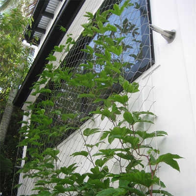 Cavo metallico Mesh For Green Facade di acciaio inossidabile della parete 1.2mm di verde di Eco