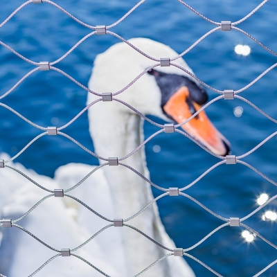 Rete metallica ad alta resistenza dello zoo della gabbia per uccelli, maglia del cavo metallico d'acciaio 1 x 19
