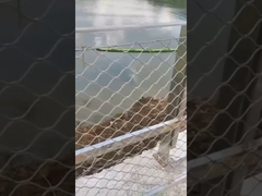 Recinzione a rete di filo