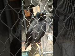 Rete in corda annodata in acciaio inossidabile resistente, flessibile, con puntale morbido