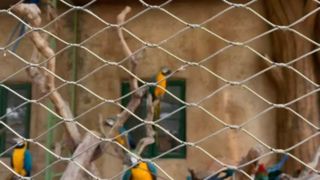 Che aspetto ha una rete di cavi intrecciati in acciaio inossidabile